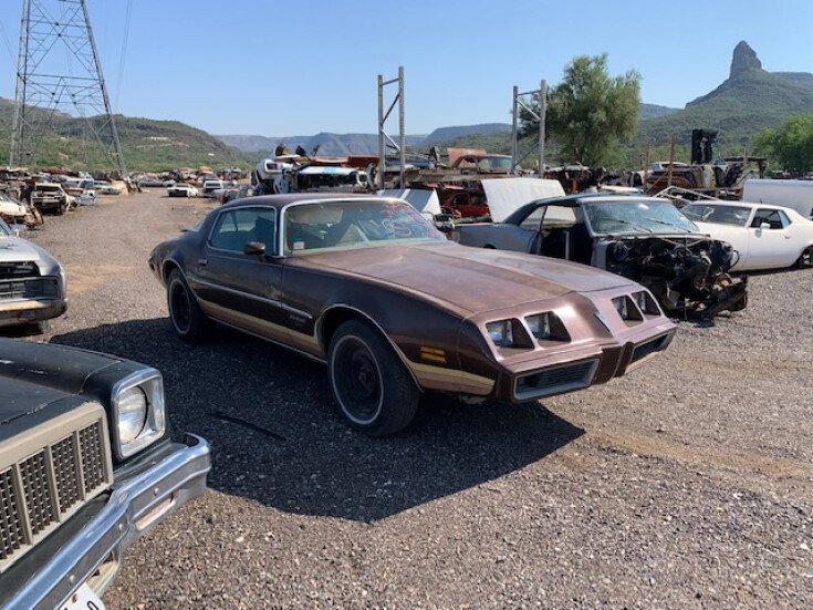 Thumbnail Photo undefined for 1979 Pontiac Firebird